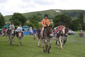 June - The Donkey Derby
